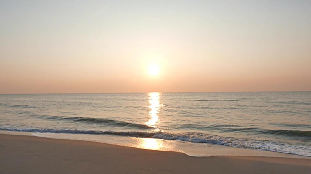 Hung Do Beach Homestay Hoi An Eksteriør bilde